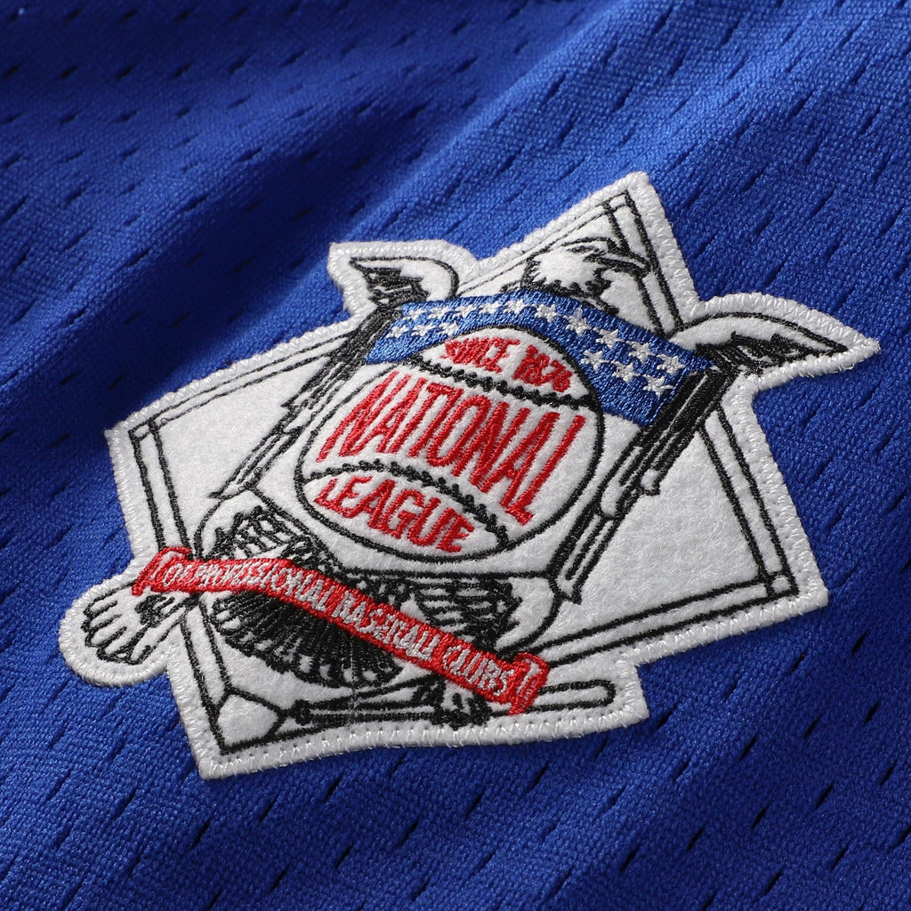 Men's Chicago Cubs Ryne Sandberg Mitchell & Ness Royal Cooperstown Collection 1997 Mesh Batting Practice Button-Up Jersey