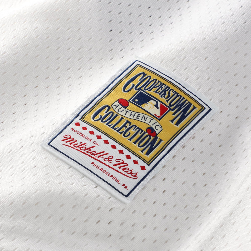 Men's Chicago White Sox Carlton Fisk Mitchell & Ness White Authentic Batting Practice Jersey