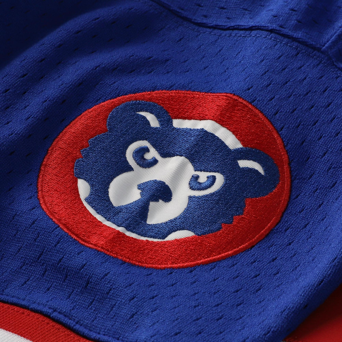 Men's Chicago Cubs Ryne Sandberg Mitchell & Ness Royal Cooperstown Collection 1996 Mesh Batting Practice Button-Up Jersey