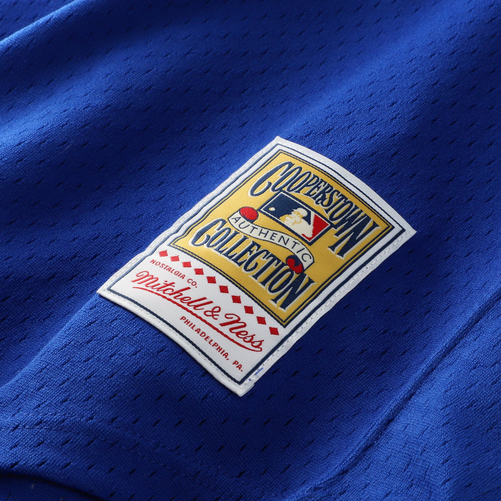 Men's Atlanta Braves Dale Murphy Mitchell & Ness Royal Authentic Batting Practice Jersey