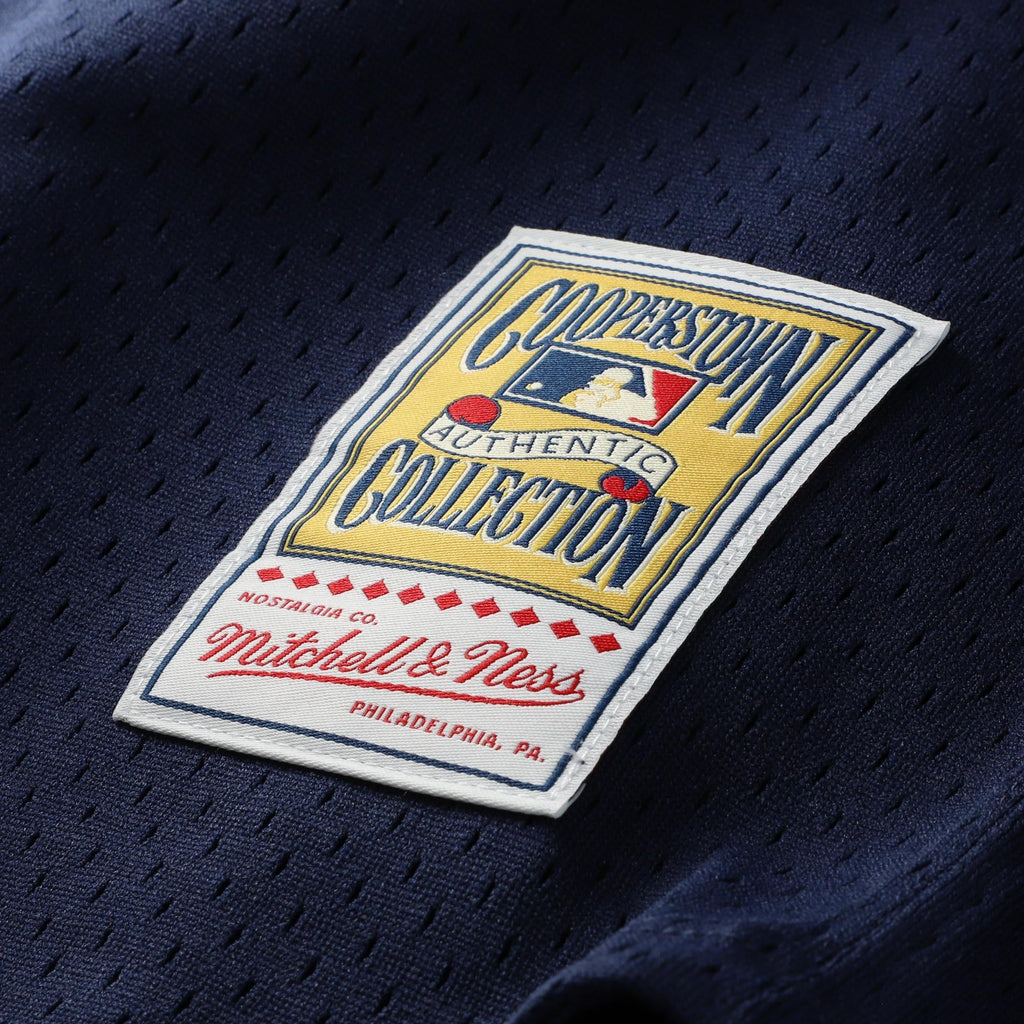 Men's Chicago White Sox Carlton Fisk Mitchell & Ness White Authentic Batting Practice Jersey